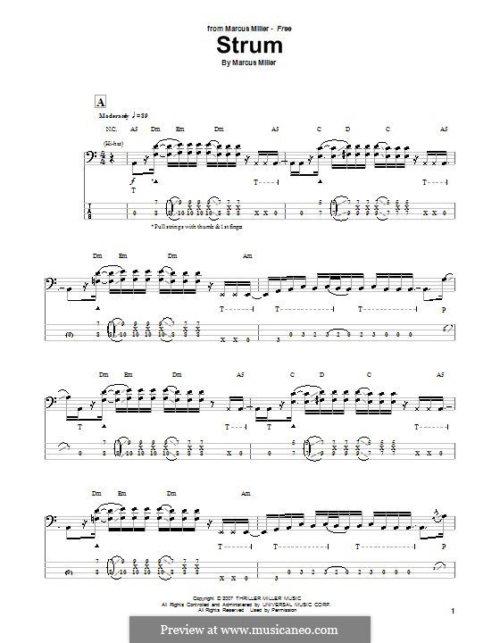Strum: para baixo com guia by Marcus Miller