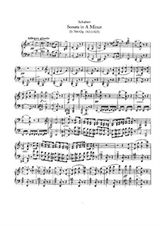 Sonata for Piano No.14 in A Minor, D.784 Op.143: para um único musico (Editado por H. Bulow) by Franz Schubert