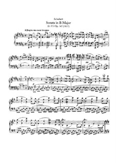 Sonata for Piano No.9 in B Major, D.575 Op.147: para um único musico (Editado por H. Bulow) by Franz Schubert
