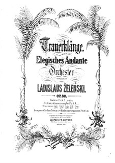 Trauerklänge, Op.36: Trauerklänge by Władysław Żeleński