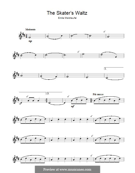 The Skaters Waltz: para flauta by Émile Waldteufel
