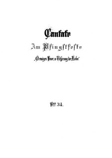 O ewiges Feuer, o Ursprung der Liebe, BWV 34: Partitura completa by Johann Sebastian Bach