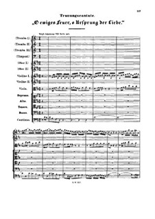 O ewiges Feuer, o Ursprung der Liebe (O Eternal Fire, o Source of Love), BWV 34a: O ewiges Feuer, o Ursprung der Liebe (O Eternal Fire, o Source of Love) by Johann Sebastian Bach