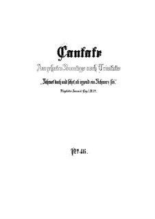 Schauet doch und sehet, ob irgend ein Schmerz sei, BWV 46: Partitura completa by Johann Sebastian Bach