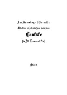 Sehet, wir gehn hinauf gen Jerusalem, BWV 159: Partitura completa by Johann Sebastian Bach