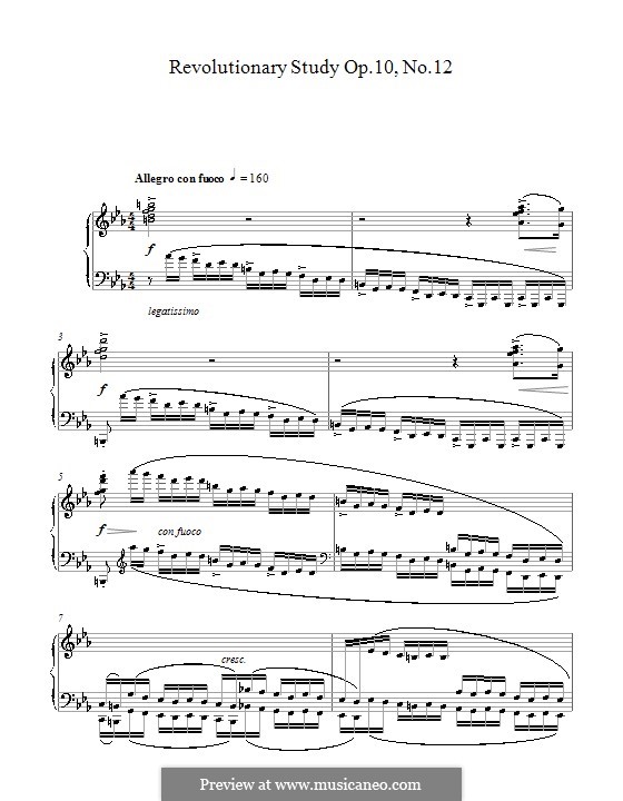 No.12 in C Minor: para piano (partituras de alta qualidade) by Frédéric Chopin