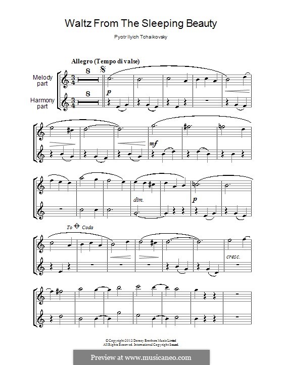 Waltz: para duas clarinetas by Pyotr Tchaikovsky