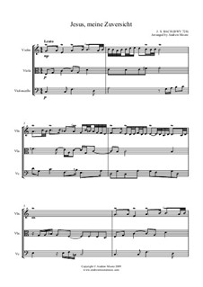 Jesus, meine Zuversicht, BWV 728: para trio de cordas by Johann Sebastian Bach