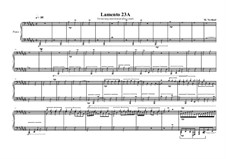 Etude No.30 for piano, MVWV 262: Etude No.30 for piano by Maurice Verheul
