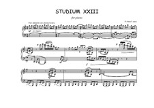 Studium XXIII for piano: Studium XXIII for piano by Peter Petrof