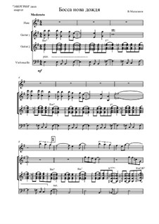 Високосный солнцеворот, Op.1: No.3 Bossa nova of Rain by Vladimir Malganov