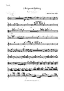 Skargardsshyllning: parte flauta piccolo by Hans-Jürgen Philipp