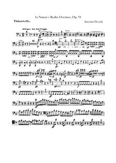 V přírodě (In Nature's Realm), B.168 Op.91: parte violoncelo by Antonín Dvořák