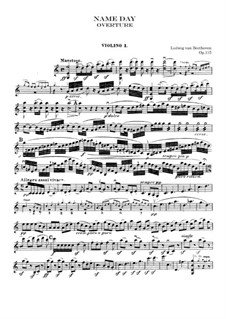 An Minna, WoO 115: violino parte I by Ludwig van Beethoven
