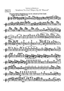 Complete Symphony: parte de flautas by Ludwig van Beethoven