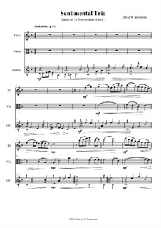 Sentimental Trio: For flute, viola and guitar by David W Solomons