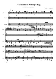 Variations on Nobody's Jigg for recorder, violin and guitar: Variations on Nobody's Jigg for recorder, violin and guitar by folklore, David W Solomons