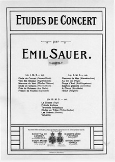 Concert Etudes: No.8 Au Vol by Emil von Sauer