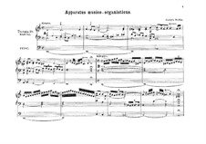 Apparatus Musico-Organisticus: para orgãos by Georg Muffat