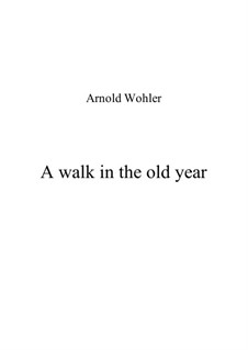 A walk in the old year: A walk in the old year by Arnold Wohler