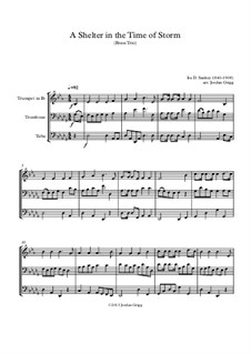 A Shelter in the Time of Storm: Para trio de bronze by Ira David Sankey