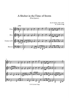 A Shelter in the Time of Storm: Para quarteto de sopro by Ira David Sankey