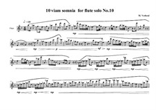 10 viam somnia for flute solo: No.10, MVWV 529 by Maurice Verheul