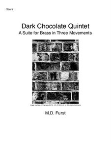 Dark Chocolate Quintet, Op.2: Dark Chocolate Quintet by Michael Furst