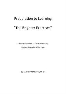 Preparation to Learning ‘The Brighter Exercises’: Preparation to Learning ‘The Brighter Exercises’ by Michele Schottenbauer