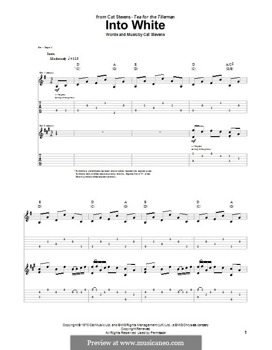 Into White: Para guitarra com guia by Cat Stevens