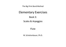 Elementary Exercises. Book III: flauta by Michele Schottenbauer