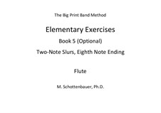 Elementary Exercises. Book V: flauta by Michele Schottenbauer