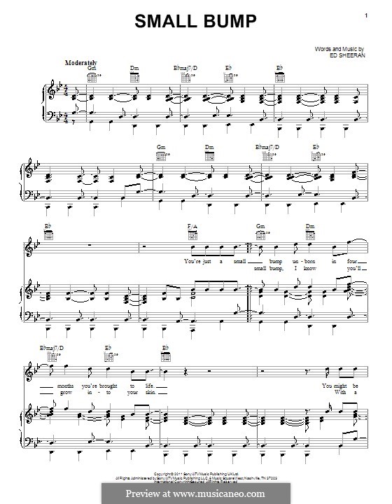 Small Bump: Para vocais e piano (ou Guitarra) by Ed Sheeran