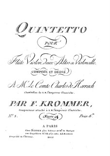 Quintet for Flute and Strings in D Minor, Op.94 No.3: viola parte I by Franz Krommer