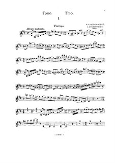 Piano Trio in D Major, Op.22: parte do violino by Ivan Kryzhanovsky
