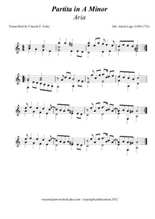 Partita in A Minor: For guitar (transcribed by V.F. Coley) by Jan Antonin Losy