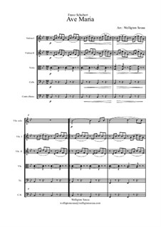 Quintet version: para quartetos de cordas by Franz Schubert