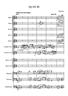 Sonata for Piano No.28, Op.101: Movement III. Arrangement for wind by Ludwig van Beethoven