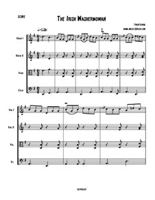 The Irish Washerwoman: para quartetos de cordas by folklore