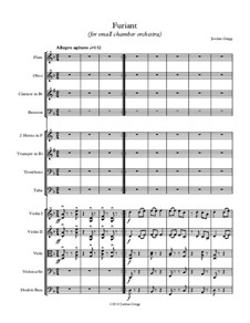 Furiant (for small chamber orchestra): Furiant (for small chamber orchestra) by Jordan Grigg