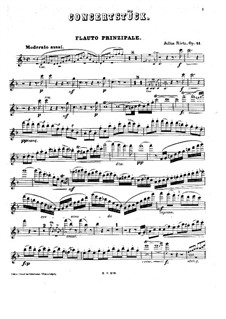 Concert Piece for Winds and Piano (or Orchestra), Op.41: parte de vento by Julius Rietz