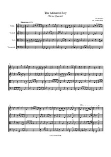 The Minstrel Boy (The Moreen): para quartetos de cordas by folklore