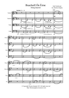 Buachaill On Eirne: para quartetos de cordas by folklore