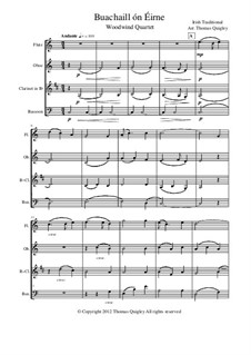 Buachaill On Eirne: Para quarteto de sopro by folklore