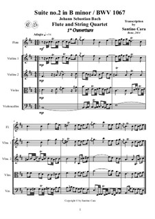 Complete set: For flute and string quartet by Johann Sebastian Bach