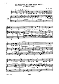 Nine Songs, Op.32: No.8 So stehn wir, ich und meine Weide (So We Stand, I and My Pasture) by Johannes Brahms