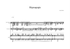 Hypnagogia I: Hypnagogia I by Hanan Hadzajlic