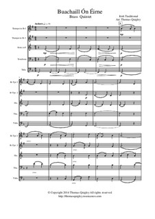 Buachaill On Eirne: Para quinteto de metais by folklore