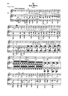 No.12 Am Meer (By the Sea): para voz media e piano by Franz Schubert