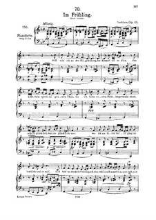 Im Frühling (In Spring), D.882 Op.101 No.1: para voz media e piano by Franz Schubert